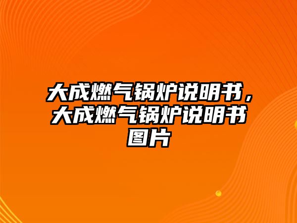 大成燃?xì)忮仩t說(shuō)明書，大成燃?xì)忮仩t說(shuō)明書圖片