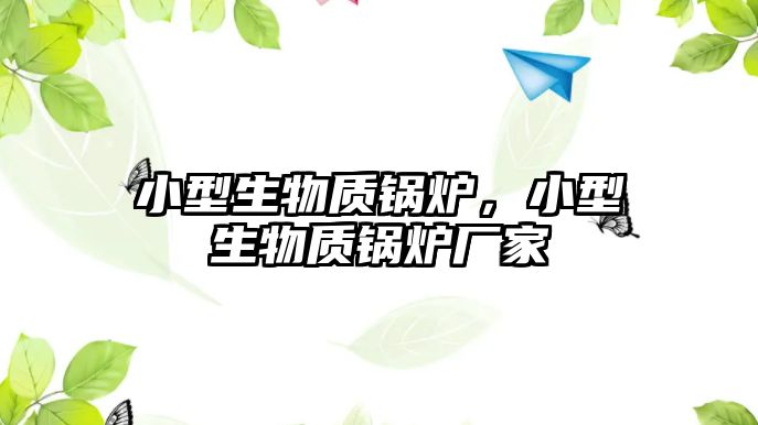 小型生物質鍋爐，小型生物質鍋爐廠家