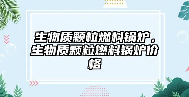 生物質顆粒燃料鍋爐，生物質顆粒燃料鍋爐價格