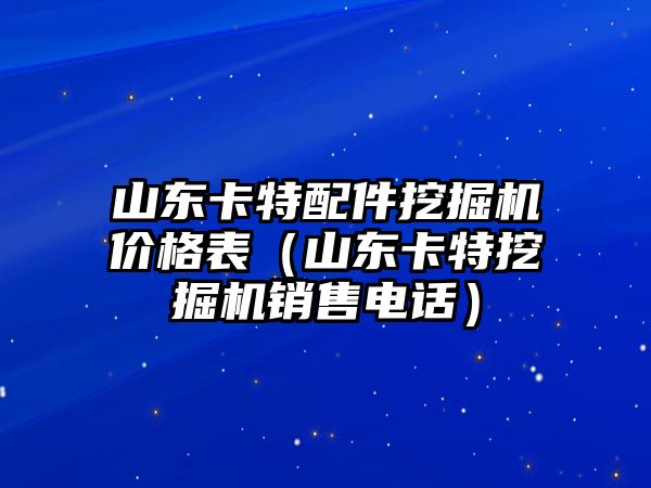 山東卡特配件挖掘機(jī)價(jià)格表（山東卡特挖掘機(jī)銷售電話）