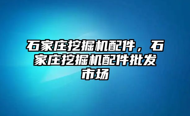 石家莊挖掘機(jī)配件，石家莊挖掘機(jī)配件批發(fā)市場(chǎng)