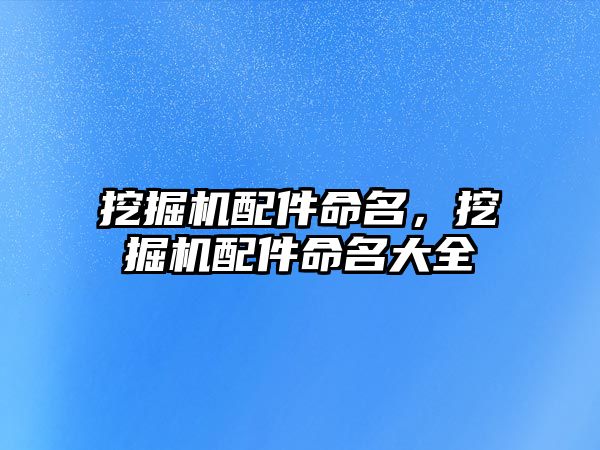 挖掘機配件命名，挖掘機配件命名大全