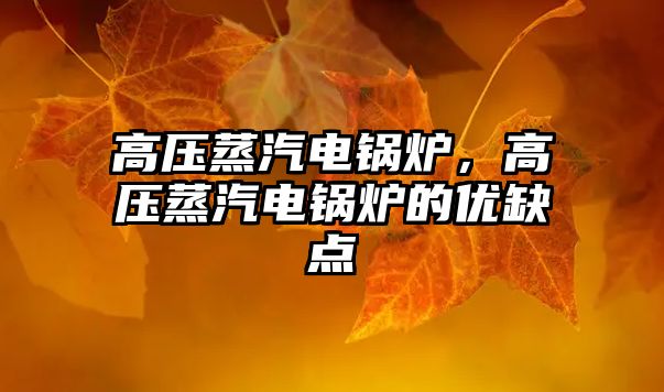 高壓蒸汽電鍋爐，高壓蒸汽電鍋爐的優(yōu)缺點