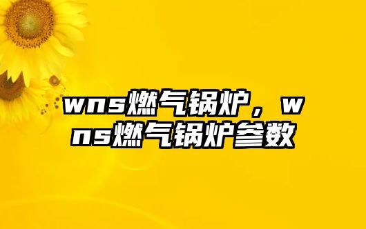 wns燃氣鍋爐，wns燃氣鍋爐參數