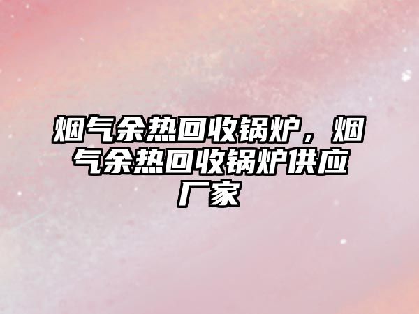 煙氣余熱回收鍋爐，煙氣余熱回收鍋爐供應廠家