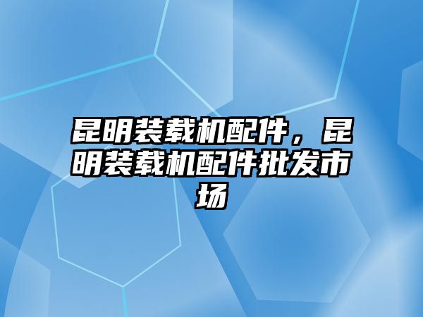 昆明裝載機配件，昆明裝載機配件批發市場