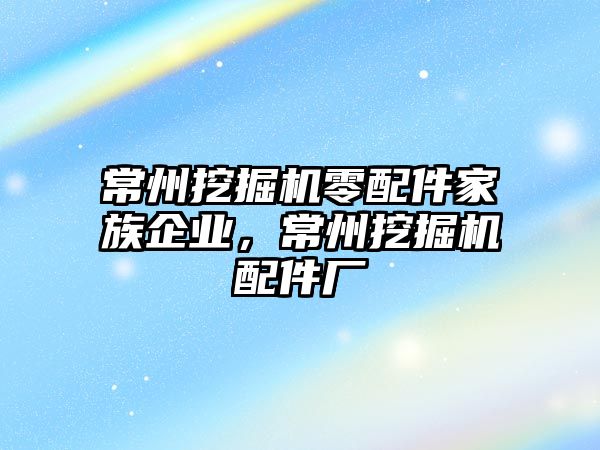 常州挖掘機零配件家族企業，常州挖掘機配件廠