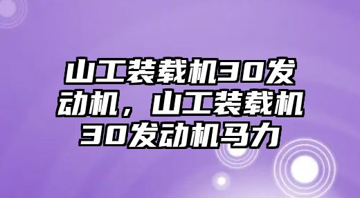 山工裝載機30發動機，山工裝載機30發動機馬力