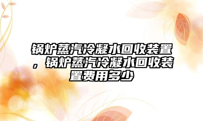 鍋爐蒸汽冷凝水回收裝置，鍋爐蒸汽冷凝水回收裝置費用多少