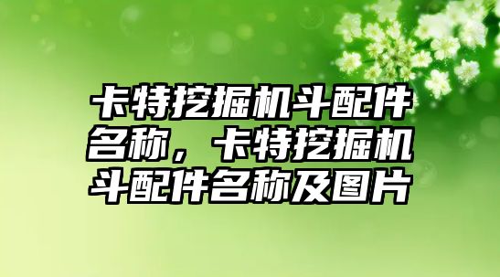 卡特挖掘機斗配件名稱，卡特挖掘機斗配件名稱及圖片