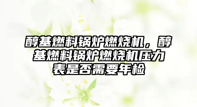 醇基燃料鍋爐燃燒機，醇基燃料鍋爐燃燒機壓力表是否需要年檢