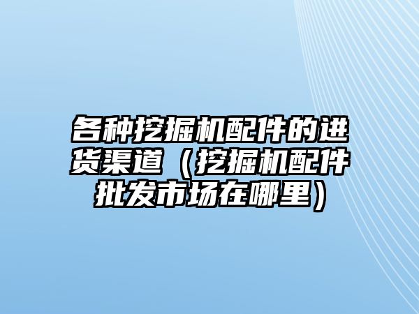 各種挖掘機配件的進貨渠道（挖掘機配件批發市場在哪里）