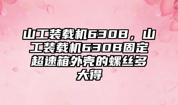 山工裝載機630B，山工裝載機630B固定超速箱外殼的螺絲多大得