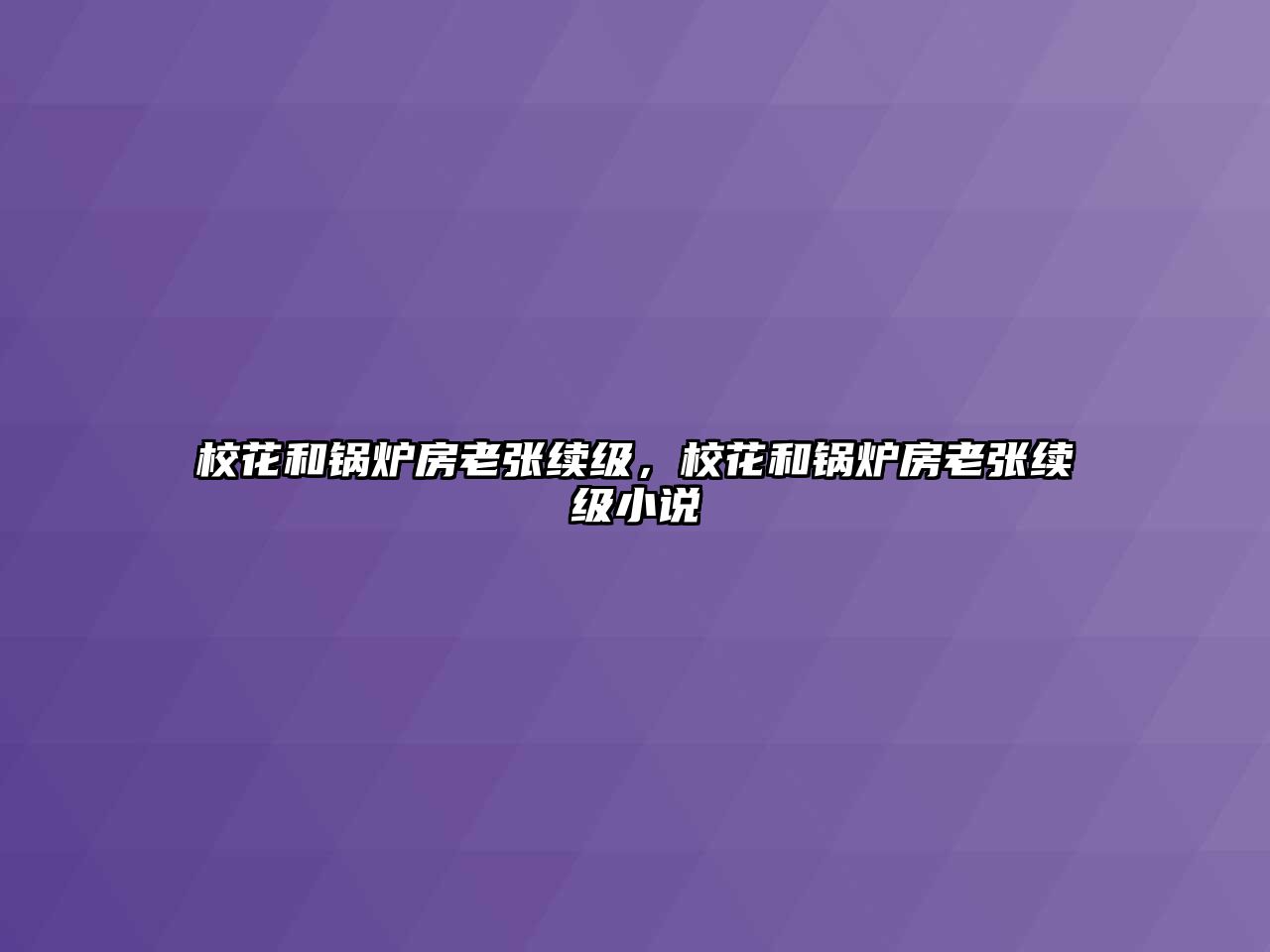 ?；ê湾仩t房老張續級，?；ê湾仩t房老張續級小說