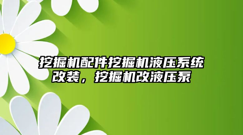 挖掘機配件挖掘機液壓系統改裝，挖掘機改液壓泵