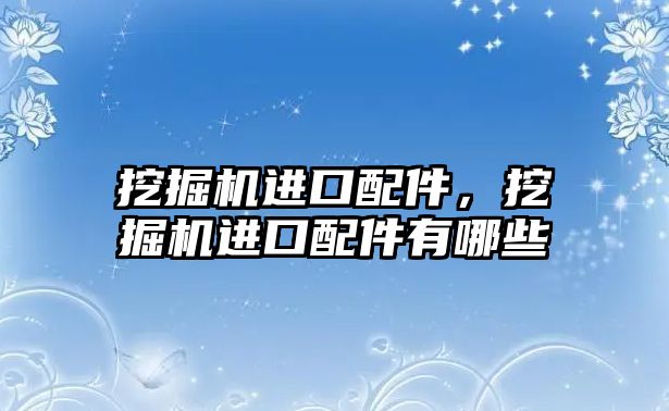 挖掘機進口配件，挖掘機進口配件有哪些