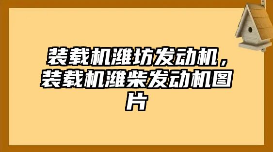 裝載機濰坊發動機，裝載機濰柴發動機圖片