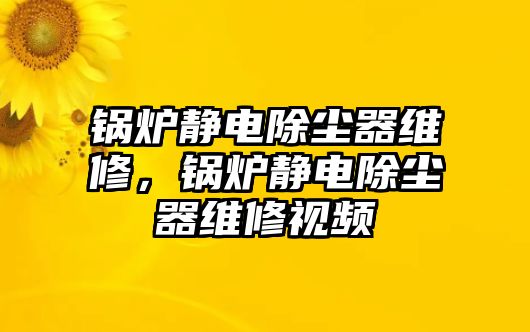 鍋爐靜電除塵器維修，鍋爐靜電除塵器維修視頻