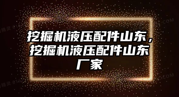 挖掘機液壓配件山東，挖掘機液壓配件山東廠家