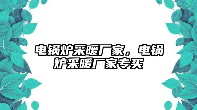 電鍋爐采暖廠家，電鍋爐采暖廠家專買