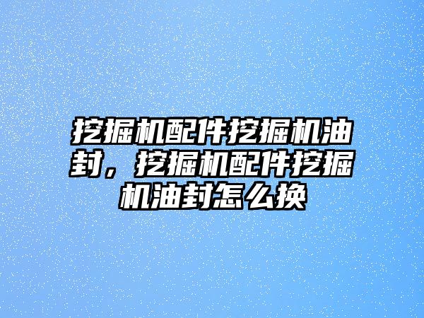 挖掘機配件挖掘機油封，挖掘機配件挖掘機油封怎么換