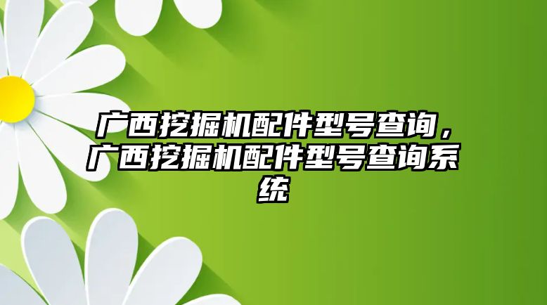 廣西挖掘機(jī)配件型號(hào)查詢(xún)，廣西挖掘機(jī)配件型號(hào)查詢(xún)系統(tǒng)