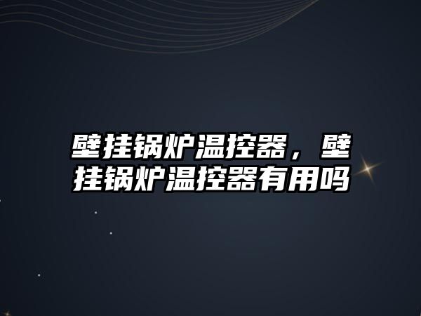 壁掛鍋爐溫控器，壁掛鍋爐溫控器有用嗎