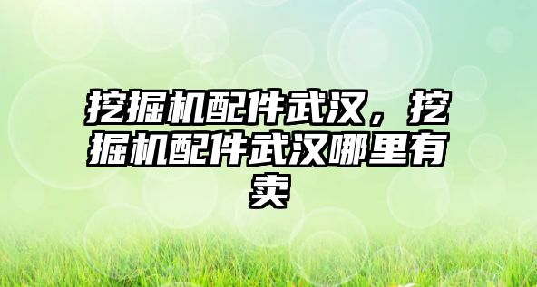 挖掘機配件武漢，挖掘機配件武漢哪里有賣