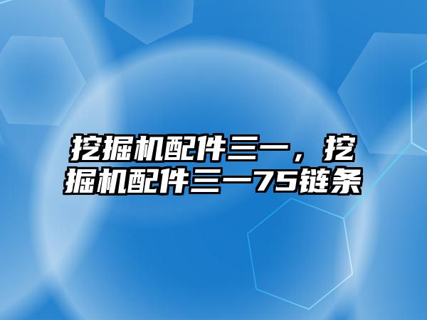 挖掘機(jī)配件三一，挖掘機(jī)配件三一75鏈條