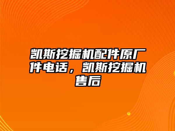 凱斯挖掘機配件原廠件電話，凱斯挖掘機售后