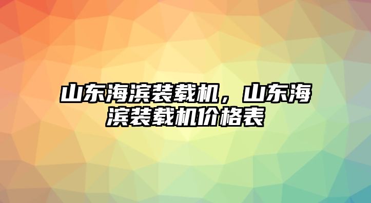 山東海濱裝載機，山東海濱裝載機價格表