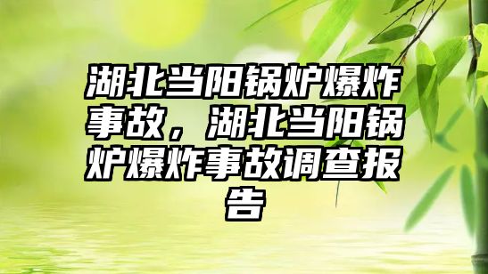 湖北當陽鍋爐爆炸事故，湖北當陽鍋爐爆炸事故調查報告