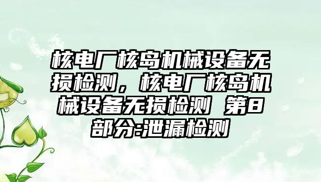 核電廠核島機械設備無損檢測，核電廠核島機械設備無損檢測 第8部分:泄漏檢測