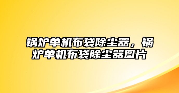 鍋爐單機(jī)布袋除塵器，鍋爐單機(jī)布袋除塵器圖片