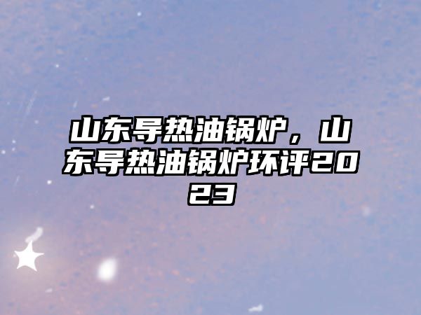 山東導熱油鍋爐，山東導熱油鍋爐環評2023