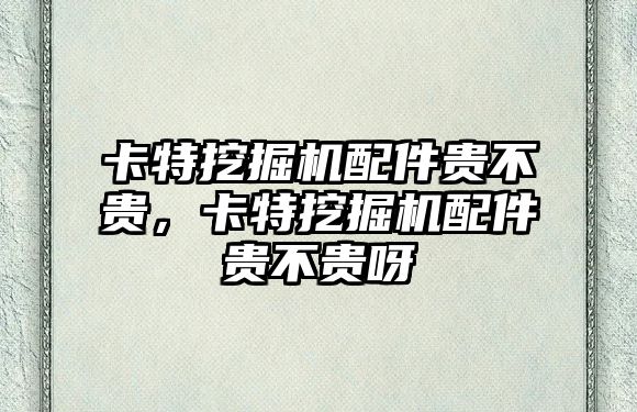 卡特挖掘機配件貴不貴，卡特挖掘機配件貴不貴呀