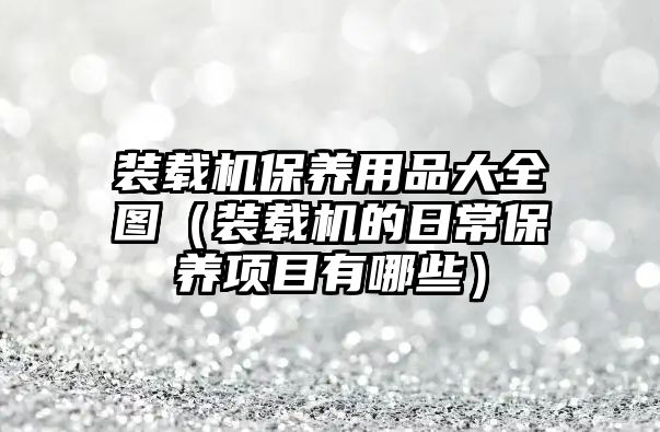 裝載機(jī)保養(yǎng)用品大全圖（裝載機(jī)的日常保養(yǎng)項(xiàng)目有哪些）