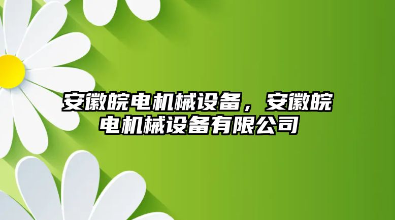 安徽皖電機械設備，安徽皖電機械設備有限公司