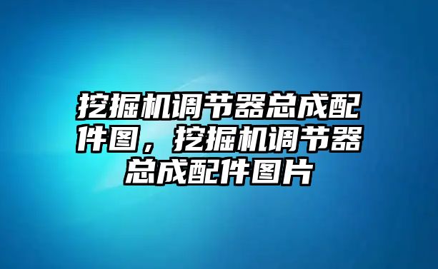 挖掘機(jī)調(diào)節(jié)器總成配件圖，挖掘機(jī)調(diào)節(jié)器總成配件圖片