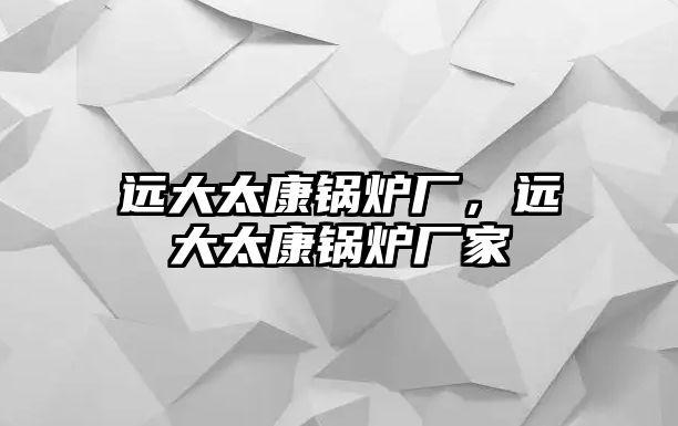 遠大太康鍋爐廠，遠大太康鍋爐廠家