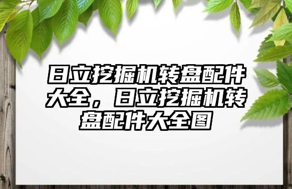 日立挖掘機轉盤配件大全，日立挖掘機轉盤配件大全圖