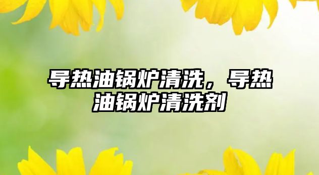 導(dǎo)熱油鍋爐清洗，導(dǎo)熱油鍋爐清洗劑