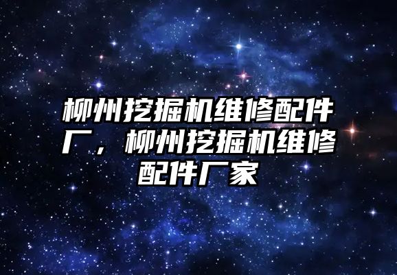 柳州挖掘機維修配件廠，柳州挖掘機維修配件廠家