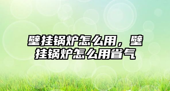 壁掛鍋爐怎么用，壁掛鍋爐怎么用省氣