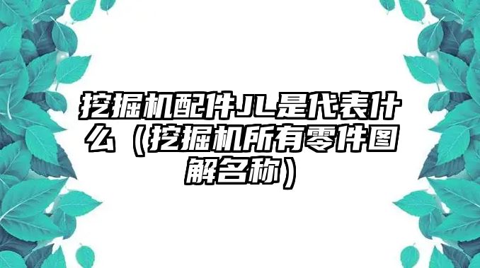 挖掘機配件JL是代表什么（挖掘機所有零件圖解名稱）