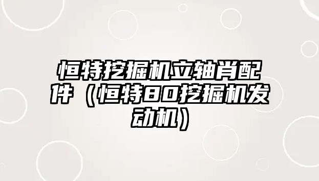 恒特挖掘機立軸肖配件（恒特80挖掘機發動機）