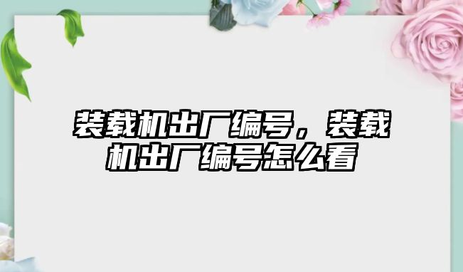 裝載機出廠編號，裝載機出廠編號怎么看