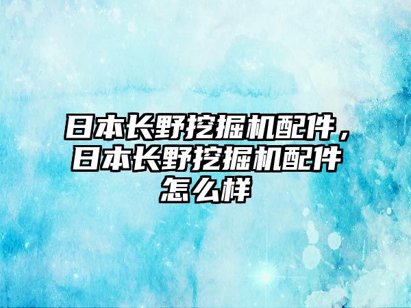 日本長野挖掘機(jī)配件，日本長野挖掘機(jī)配件怎么樣