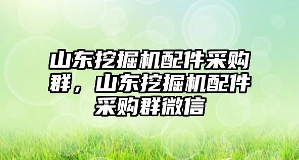 山東挖掘機配件采購群，山東挖掘機配件采購群微信