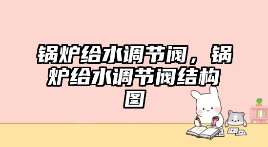 鍋爐給水調節閥，鍋爐給水調節閥結構圖